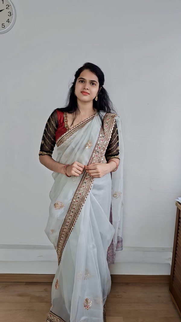 silver organza saree with brown velvet blouse and zari border